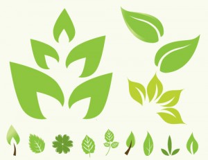 Green Leaf Vector Icons